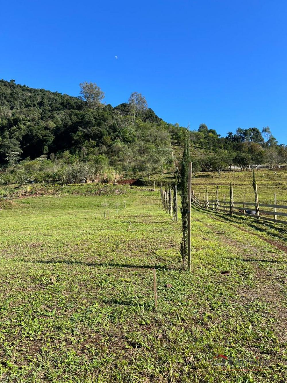 Ferreira Negócios Imobiliários