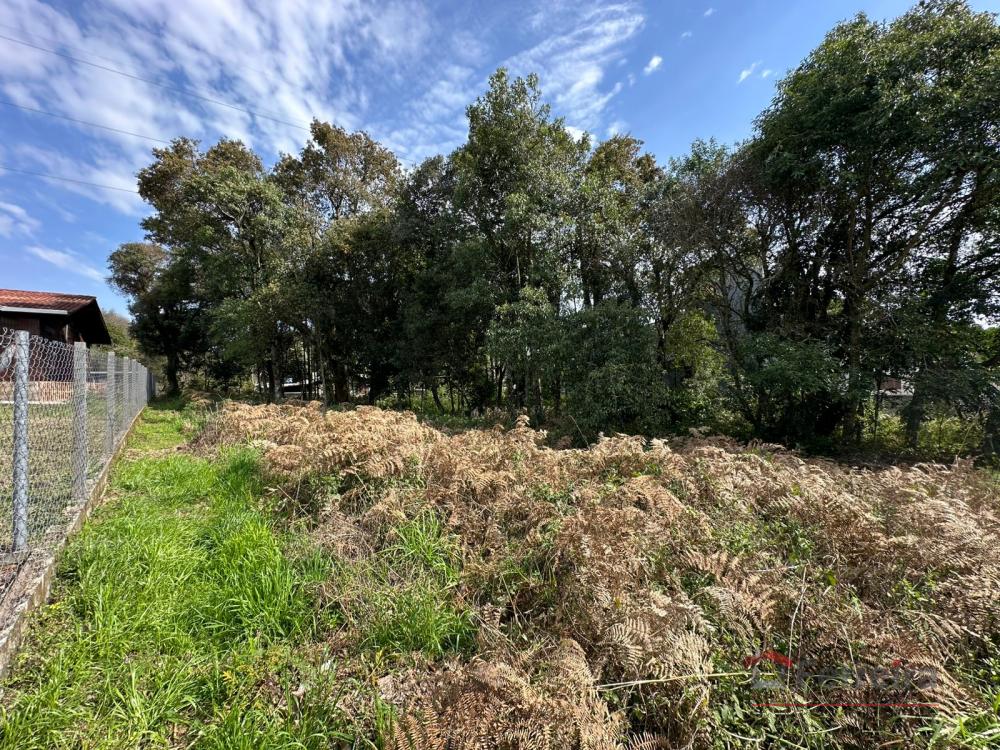 Ferreira Negócios Imobiliários